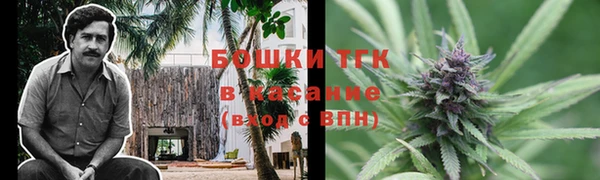 крисы Богородицк