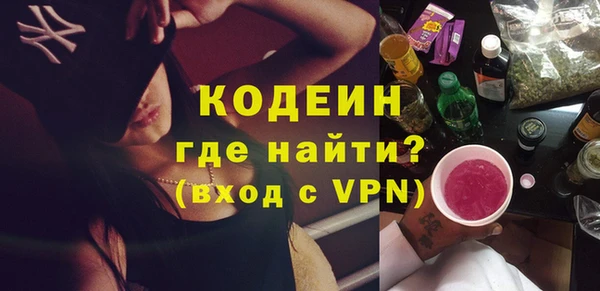 крисы Богородицк