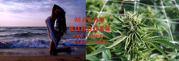 крисы Богородицк