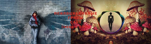крисы Богородицк