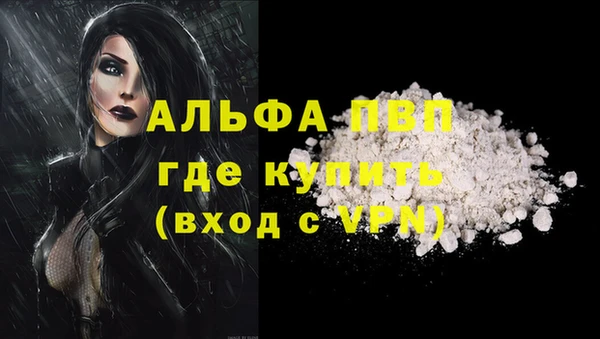 крисы Богородицк