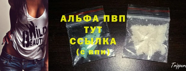 крисы Богородицк