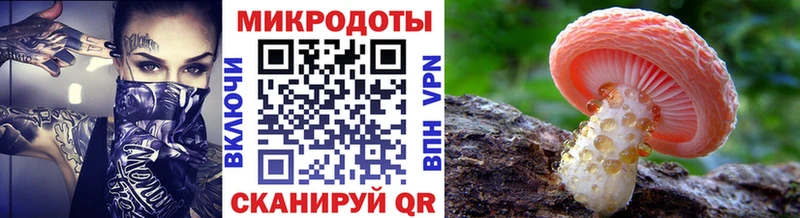 Галлюциногенные грибы Psilocybe  Нижний Новгород 